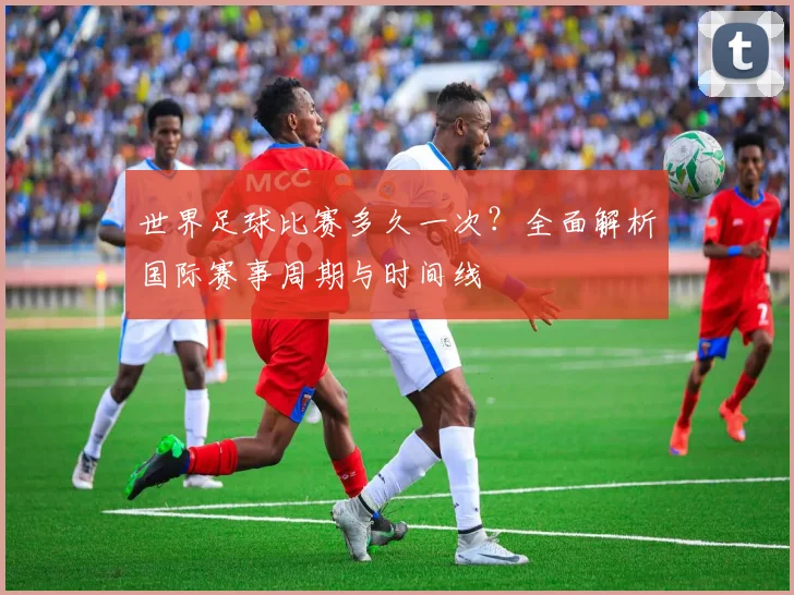 世界足球比赛多久一次?全面解析国际赛事周期与时间线