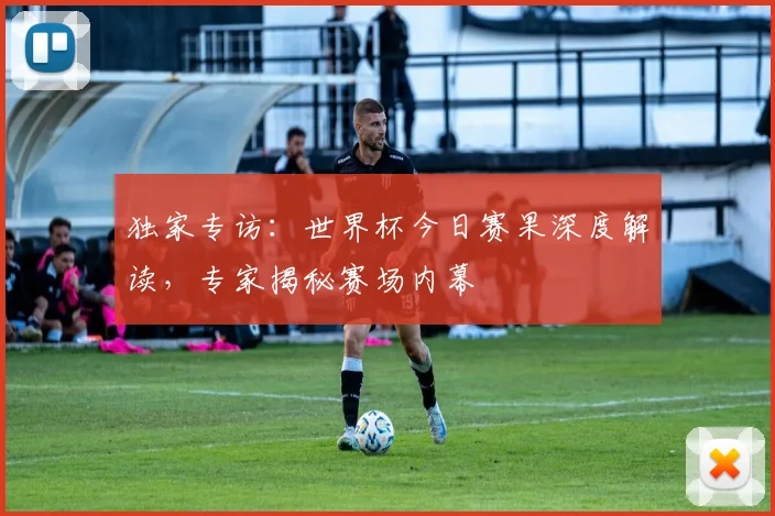 独家专访：世界杯今日赛果深度解读，专家揭秘赛场内幕
