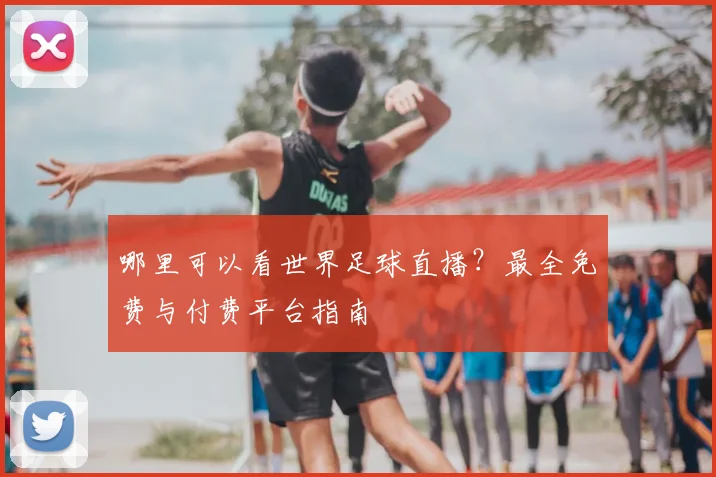哪里可以看世界足球直播？最全免费与付费平台指南